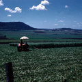 2-26 Landbouwgebied rond Toowoomba