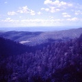1960 March - Bunya Mountains
