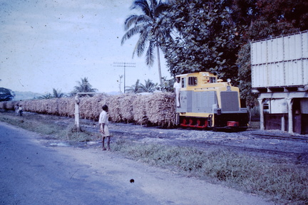 1964 July - sugar cane train Nandi