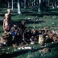 4-11 vrouw bezig met opensnijden kokosnoten