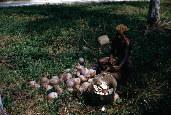 4-30 A6 inlander aan het kokosnoten pellen