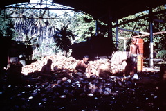 1960 Dec - Copra Mill Somata