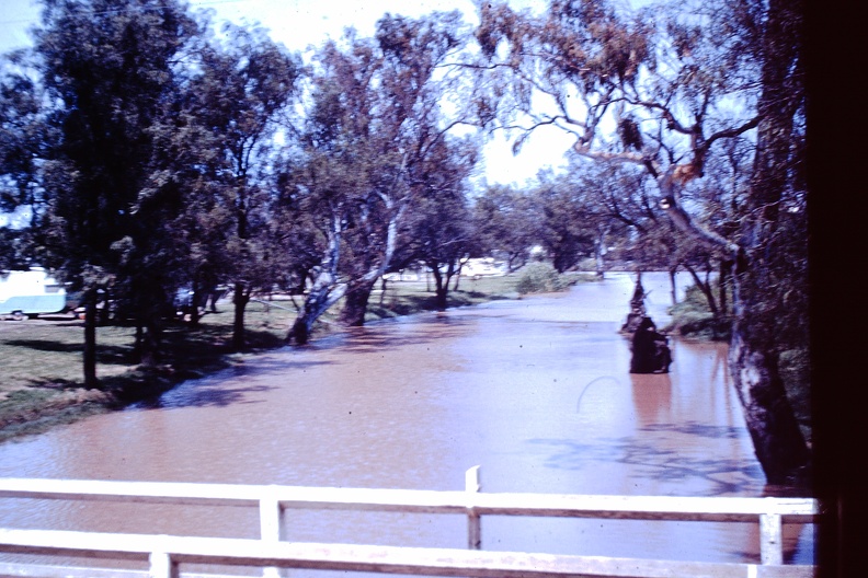 1959 Oct - Myall Creek, Patrick St.JPG