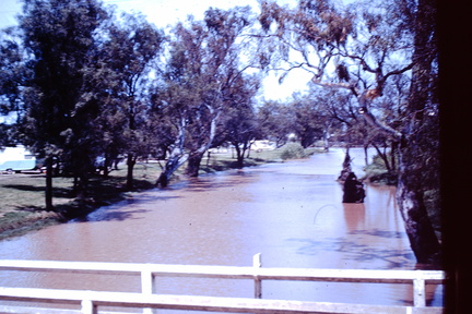 1959 Oct - Myall Creek, Patrick St