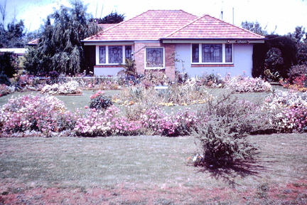 1959 Sept - Winning garden Toowoomba Festival of Flowers