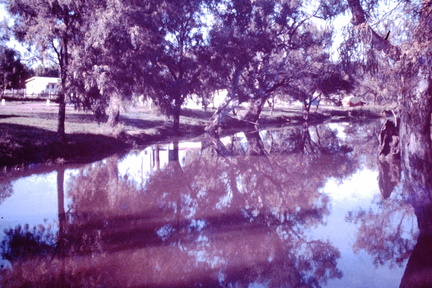 1960 March - Myall Creek