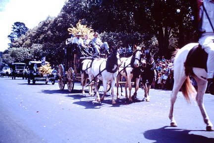 1960 Sept - Carnival of flowers Toowoomba2
