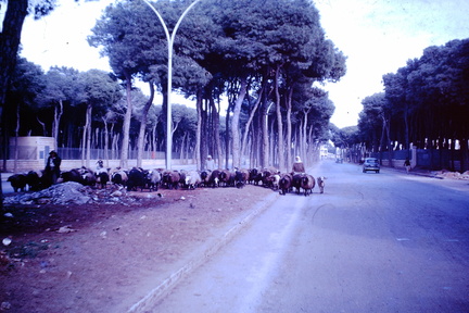 1963 Jan - Beirut-001