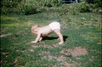Slides Scanned